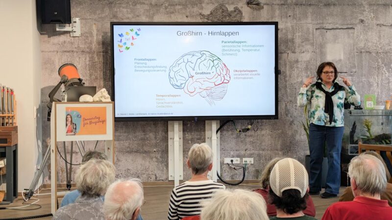 Wie lernt das Gehirn – und wann lernt es am besten?