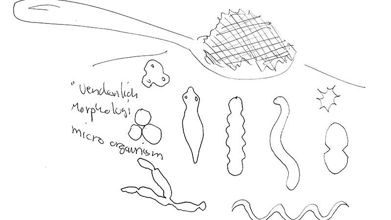 Earth Day im Fridericianum: „Living Earth“ von Tue Greenfort