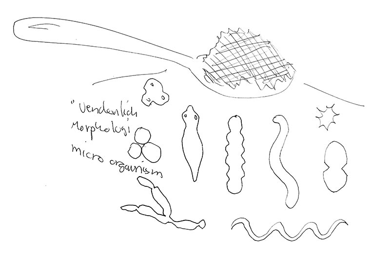 Earth Day im Fridericianum: „Living Earth“ von Tue Greenfort