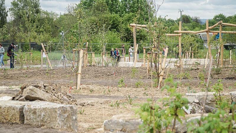 Urbane Waldgärten sind „Naturschutzprojekt des Jahres 2026