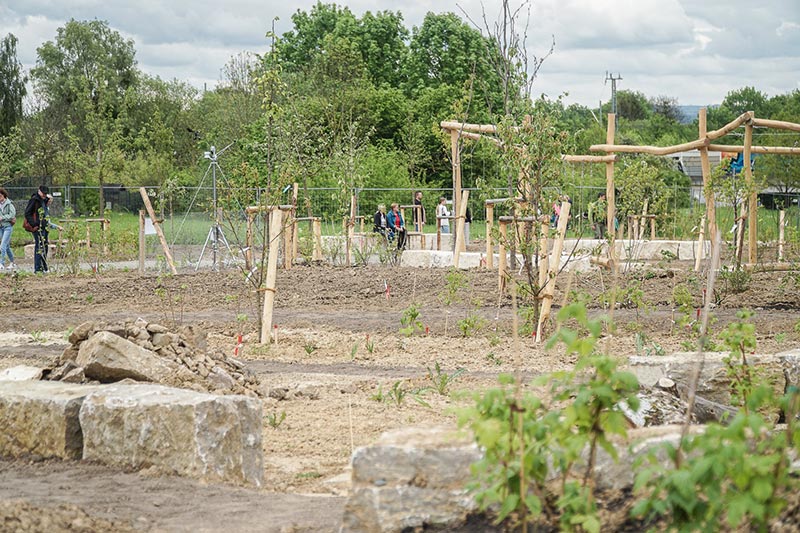 Urbane Waldgärten sind „Naturschutzprojekt des Jahres 2026